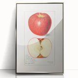 Mid-century modernist art featuring assorted fruits in vibrant colors on a silver-framed acrylic print.