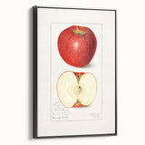 Black and white framed canvas featuring a vintage poster of assorted fruits, ideal for bedroom wall decor.