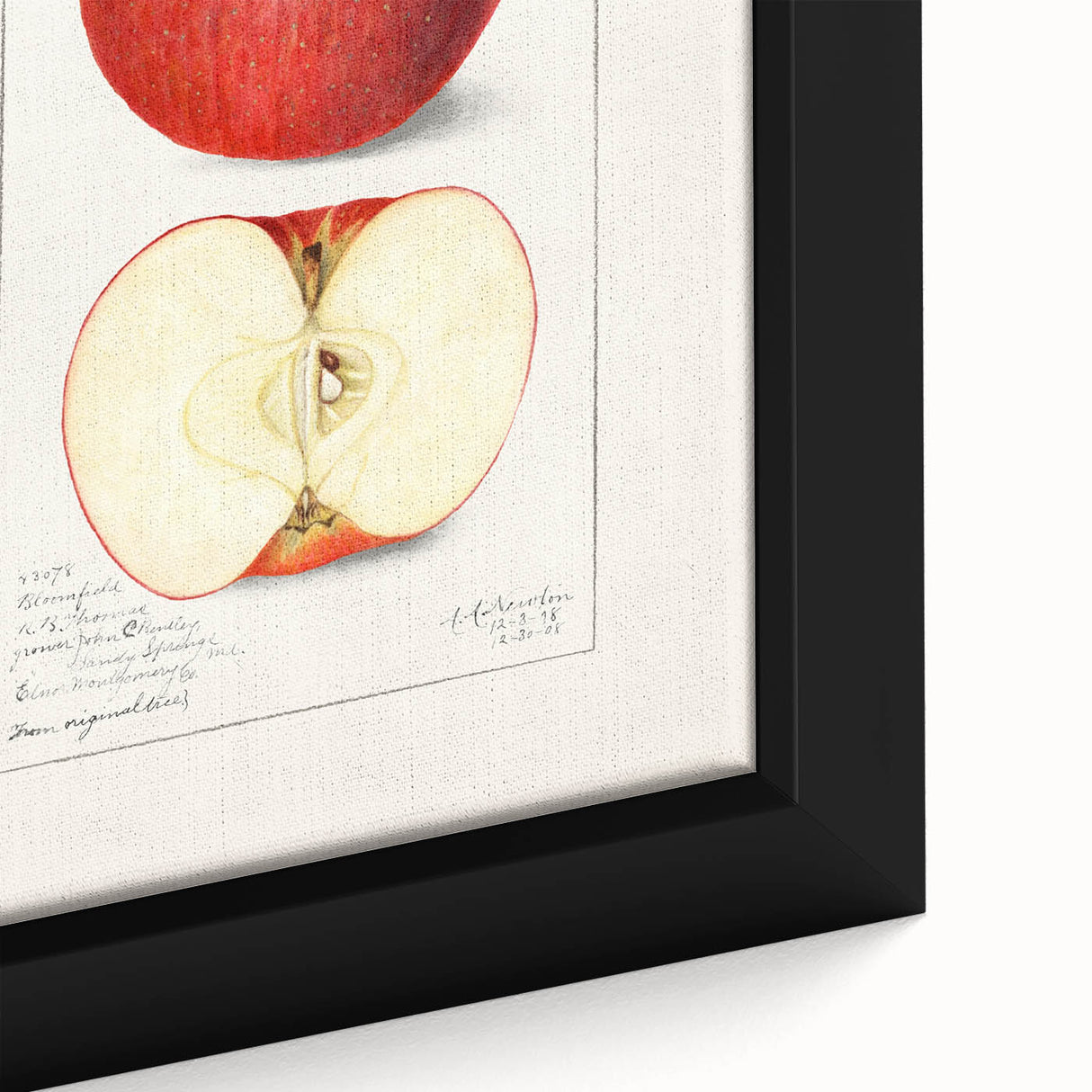 Close-up of extra large black wall art featuring colorful, textured fruits on a framed canvas, ideal for living room decor.