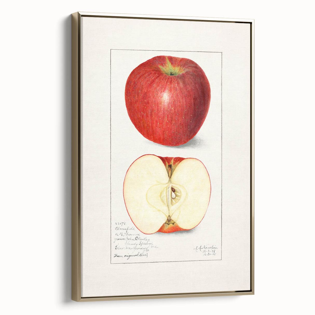 Framed canvas depicting vintage poster art of assorted fruits in muted gold and black, ideal for bedroom wall art.