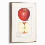 Framed canvas depicting vintage poster art of assorted fruits in muted gold and black, ideal for bedroom wall art.