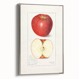 Framed canvas depicting vintage poster art of colorful fruits, ideal for kitchen wall decor.
