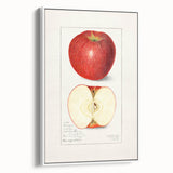 Vintage poster art featuring an array of colorful fruits on a black background, framed canvas, ideal for living room decor.