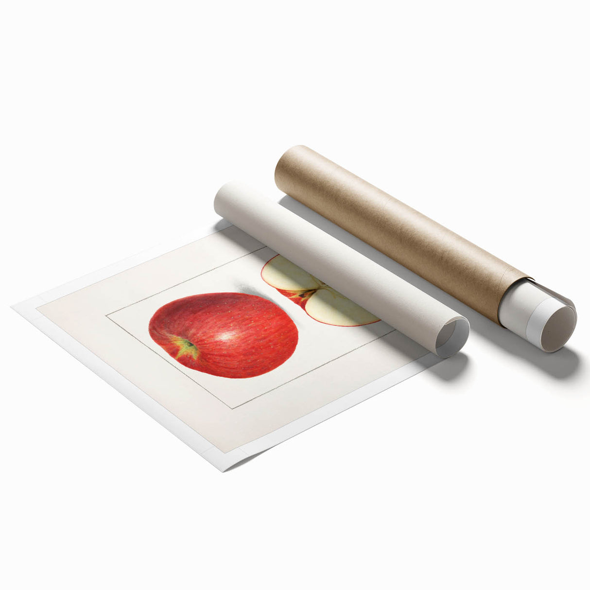 Extra large rolled canvas print featuring an assortment of fruits in vibrant colors.