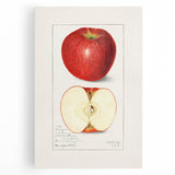 Black and white canvas print of assorted fruits, ideal for kitchen wall art.