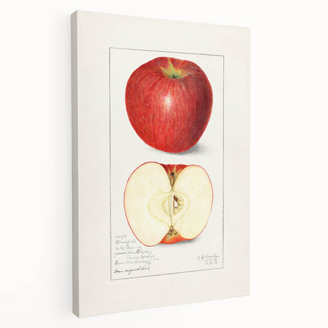 Large canvas featuring an array of vibrant fruits, ideal for kitchen wall art.