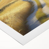 Rolled canvas featuring a vibrant landscape design with rolling fields and a serene sky, elegantly packaged in a protective cardboard tube for easy transport and display. This artwork adds a touch of nature-inspired beauty to any home décor.