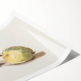 Modern Wall Art: Elegant Still Life of Apples by Édouard Manet