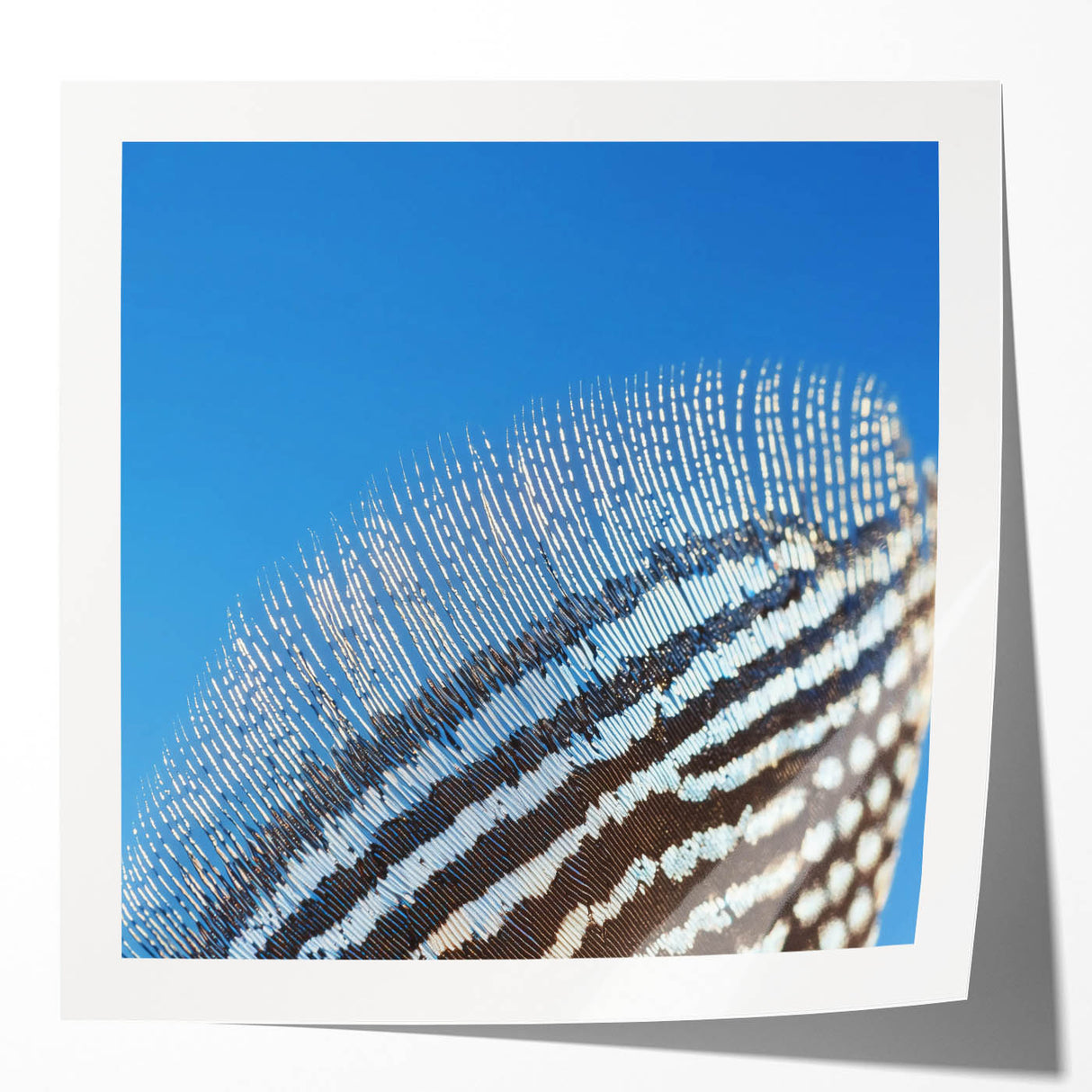 Extra large glossy photo print of a close-up floral image in vibrant colors, ideal for art wall dining room or bathroom.