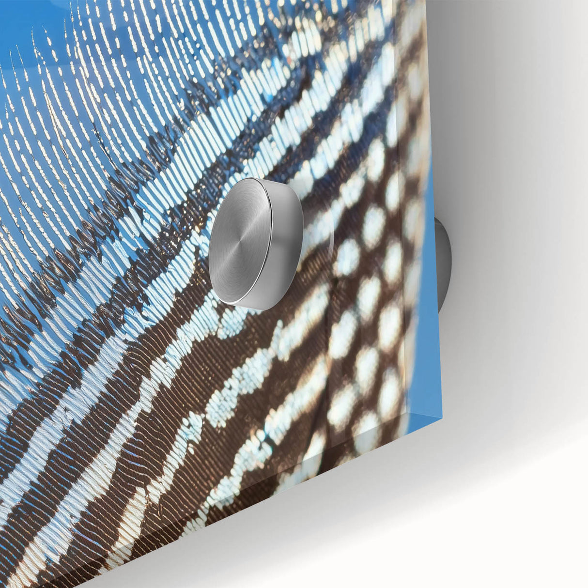 Large abstract wall art featuring a close-up of an animal in muted earth tones on acrylic glass, ideal for dining room art.