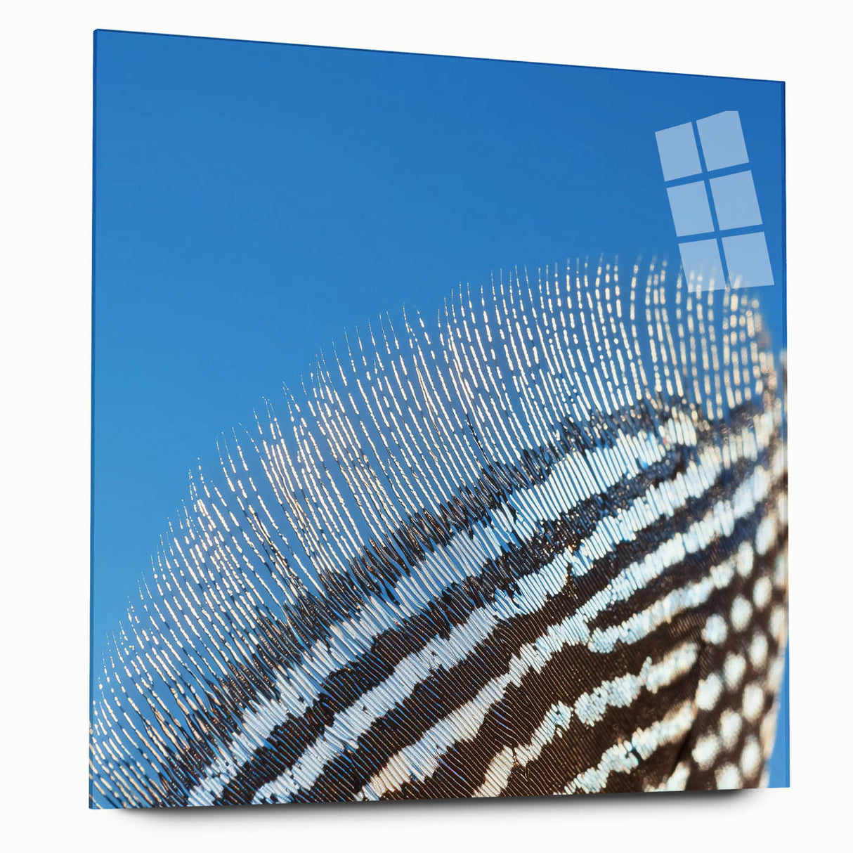 Large abstract wall art featuring close-up animal designs in vibrant colors on acrylic glass.