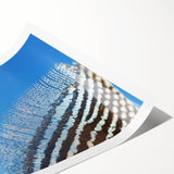 Extra large wall art featuring line art flowers in black on white, rolled print, ideal for large living room decor.