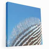 Close-up of a zebra in black and white on a large stretched canvas, suitable for kitchen wall art.