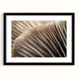 Extra large abstract art print featuring vibrant, textured floral designs on a framed black canvas.