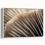 Vintage poster art of colorful florals on a black background, framed canvas, ideal for living room decor.