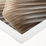 Art deco poster featuring close-up floral designs in muted pastel shades on rolled canvas.