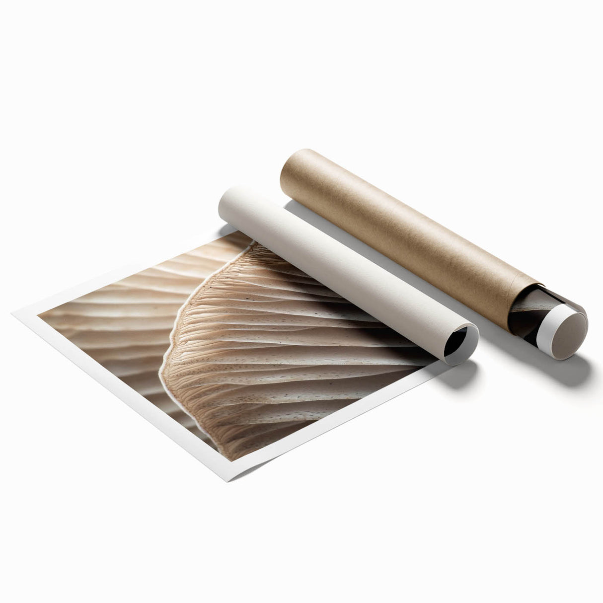 Extra large rolled print featuring close-up floral art in soft pastel shades, ideal for classy bathroom wall art.