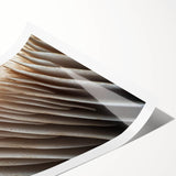 Extra large wall art featuring line art flowers in black and white on a rolled print, ideal for large living room decor.