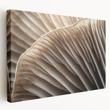 Close-up floral image in soft pink and white hues on stretched canvas, suitable for kitchen wall art.