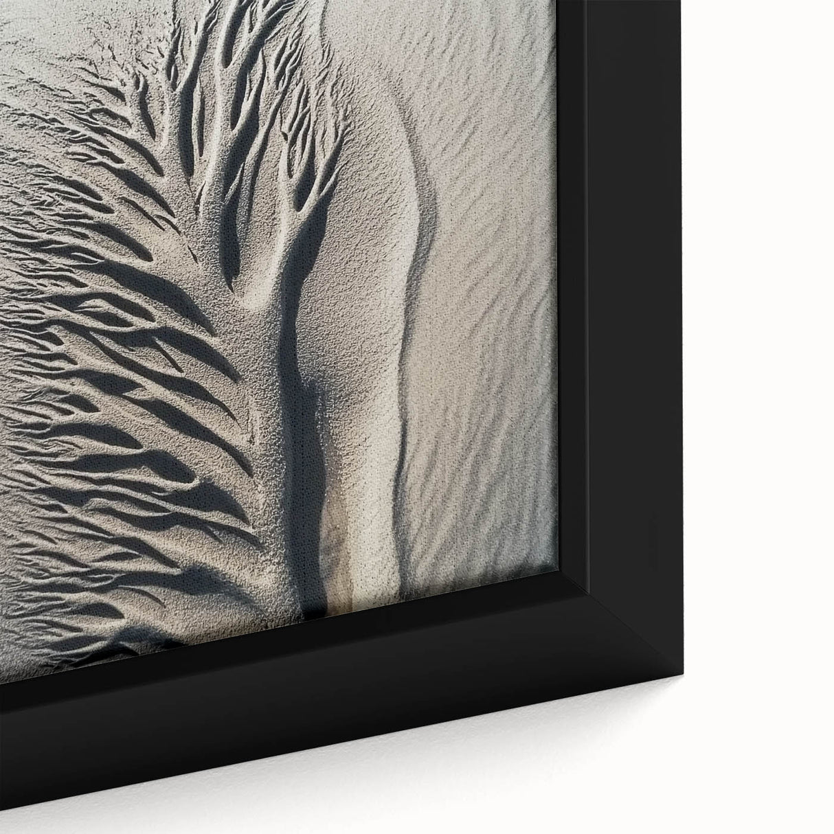 Black framed canvas featuring a close-up of colorful, textured natural elements, ideal for living room decor.