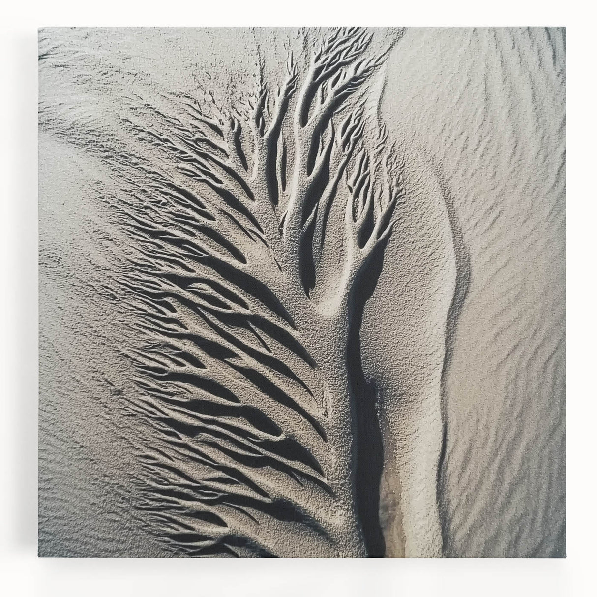 Black and white close-up photo of leaves on a stretched canvas, suitable for kitchen wall art.