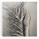 Black and white close-up photo of leaves on a stretched canvas, suitable for kitchen wall art.