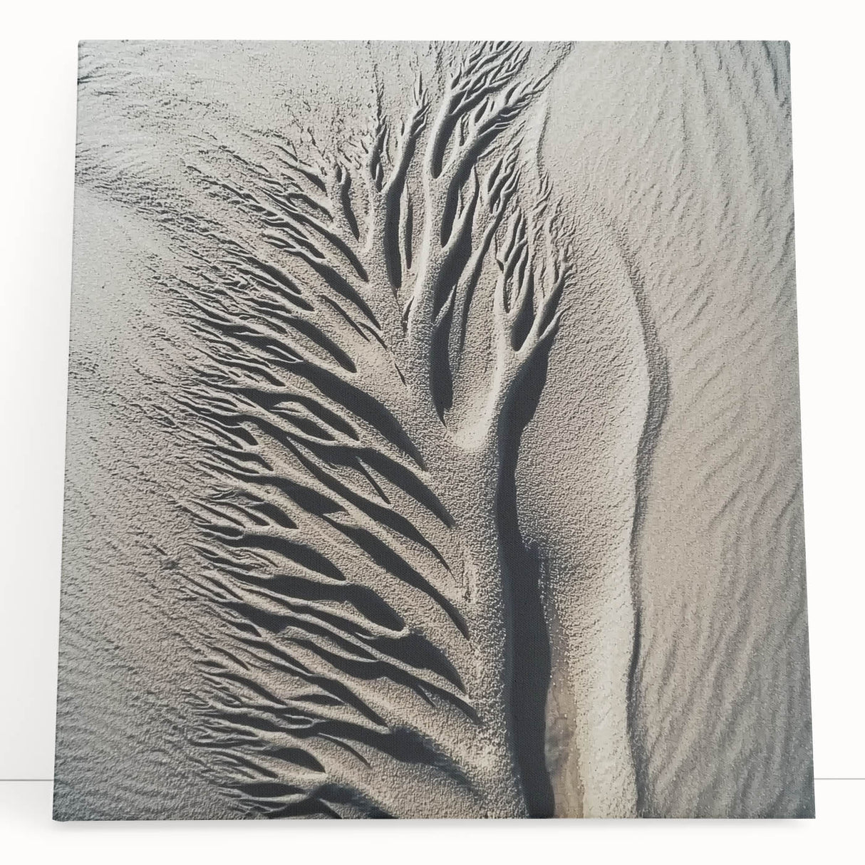 Large black and white photo of a dew-covered spider web on stretched canvas, ideal for kitchen wall art.