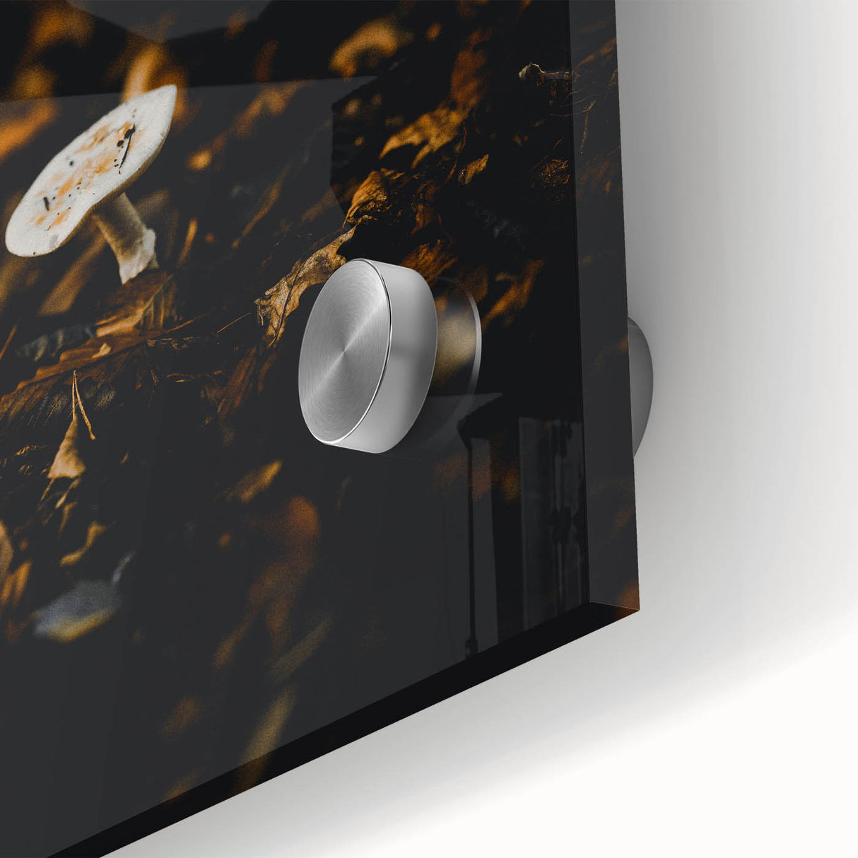 Large abstract wall art in warm autumn hues on acrylic glass, ideal for dining room ambiance.