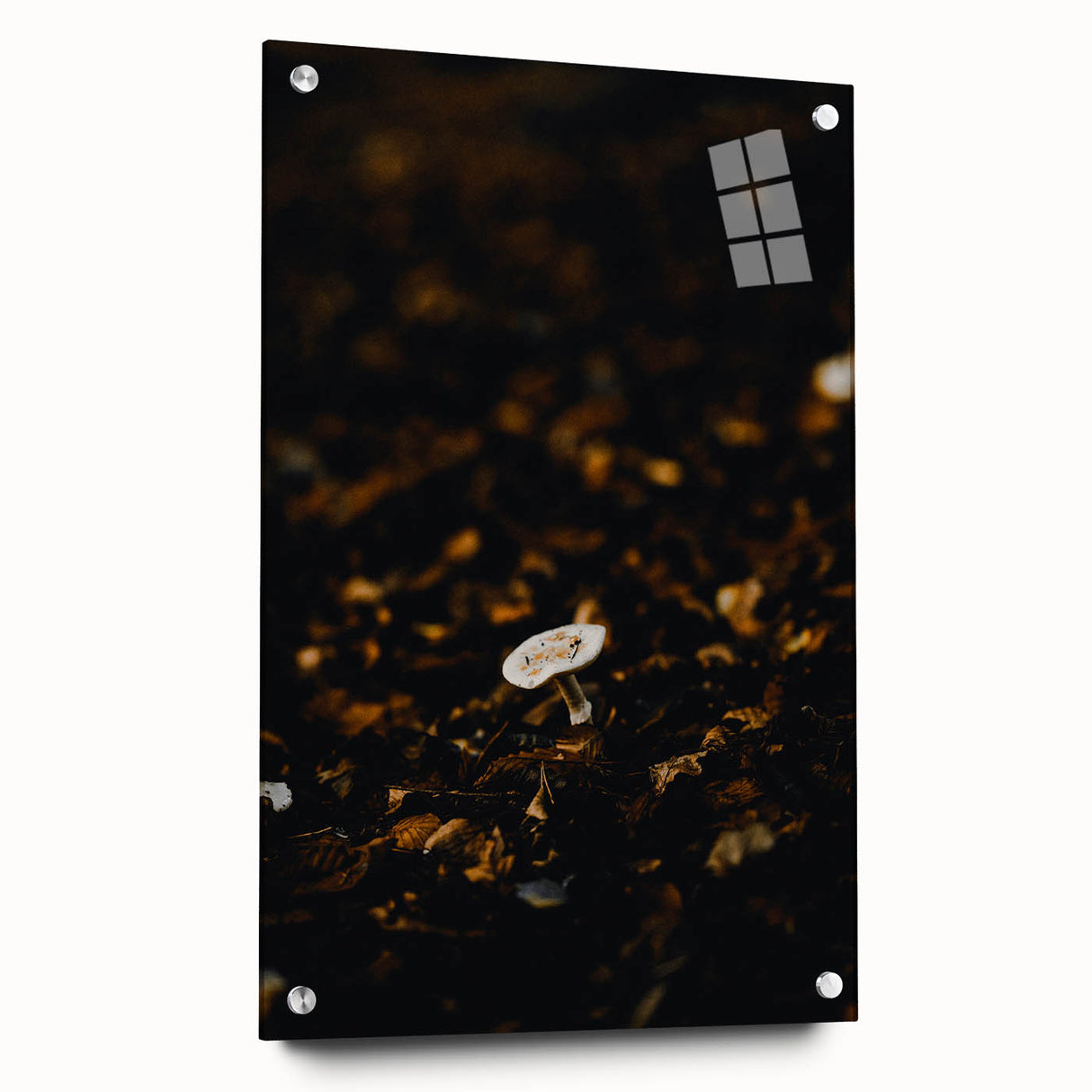 Large abstract wall art depicting fall seasons in orange and brown tones on acrylic glass.