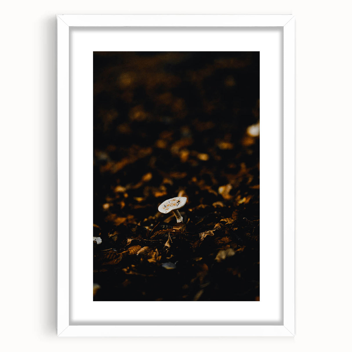 Abstract art print depicting autumn leaves in warm orange and red tones on a white framed canvas.