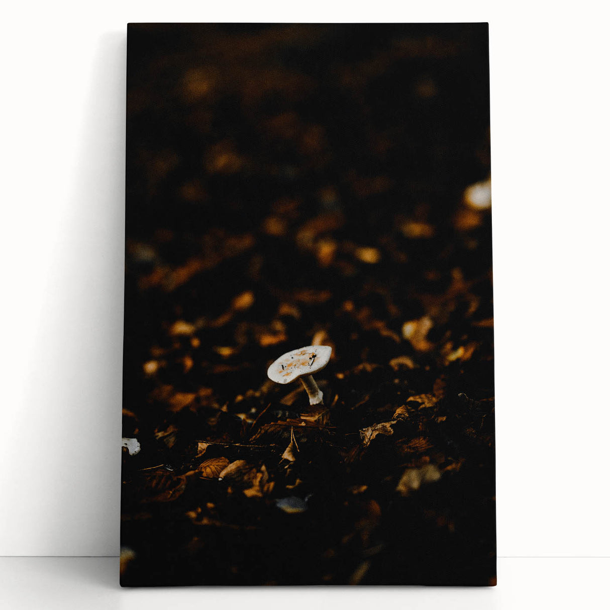 Black and white photograph of a forest in autumn on large stretched canvas, ideal for kitchen wall art or bedroom ambiance.