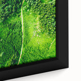 Extra large framed canvas depicting a textured, colorful abstract design on a black background, ideal for living room decor.