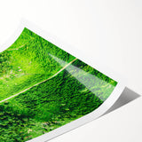 Extra large wall art featuring line art flowers in soft pastel shades on a rolled print, ideal for large living room decor.