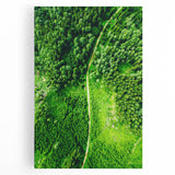 Black and white large art on stretched canvas depicting spring season, suitable for kitchen wall art.