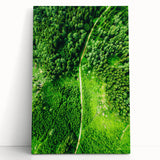 Large black and white abstract canvas art depicting spring, ideal for kitchen wall art or bedroom ambiance.