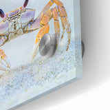 Close-up of an animal in natural setting, printed on acrylic glass, in a mid-century modernist style.