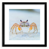 Extra large abstract art print featuring vibrant, textured close-ups of animals, on a black framed canvas.