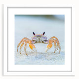 Abstract art print of a zebra in black and white tones, framed in white, ideal for dining room decor.