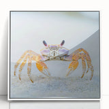 Framed acrylic print of a close-up zebra portrait in black and white, ideal for modern art wall decor in a nursery.