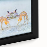 Close-up of a zebra on a textured, extra large framed canvas with black and colorful art, ideal for living room decor.