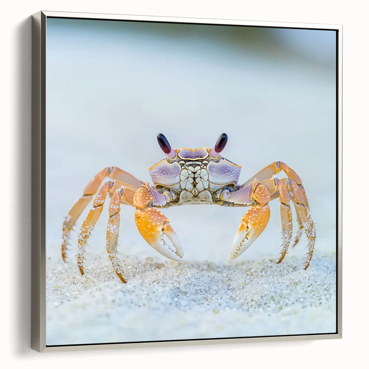 Framed canvas of a vintage landscape art painting featuring colorful flora and fauna on a black background.