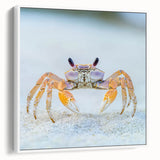 Vintage poster art of a colorful bird on a black background, framed canvas, ideal for living room decor.