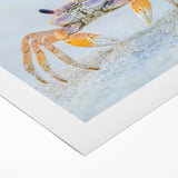 Art deco poster featuring a close-up of a zebra on rolled canvas, in black and white, ideal for modern dining room decor.