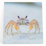 Large black and white photo of a zebra on stretched canvas, ideal for kitchen wall art or bedroom ambiance.