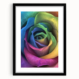 Extra large abstract art print featuring colorful, textured florals on a black framed canvas, ideal for living room decor.