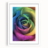 Abstract art print featuring close-up floral designs in soft pastel shades, framed in white.