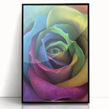 Large abstract wall art featuring close-up floral designs in vibrant colors on a black acrylic frame.