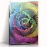 Mid-century modernist art featuring close-up floral designs in muted colors on a silver-framed acrylic print.