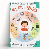 ABC Alphabet Canvas Art - Five Senses Educational Chart