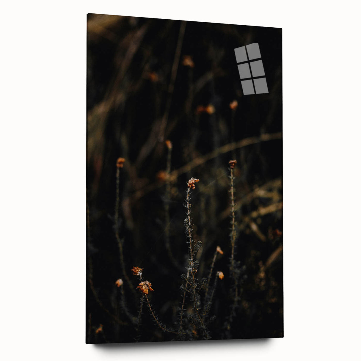 Large abstract wall art depicting autumn trees in warm orange and red tones on acrylic glass.